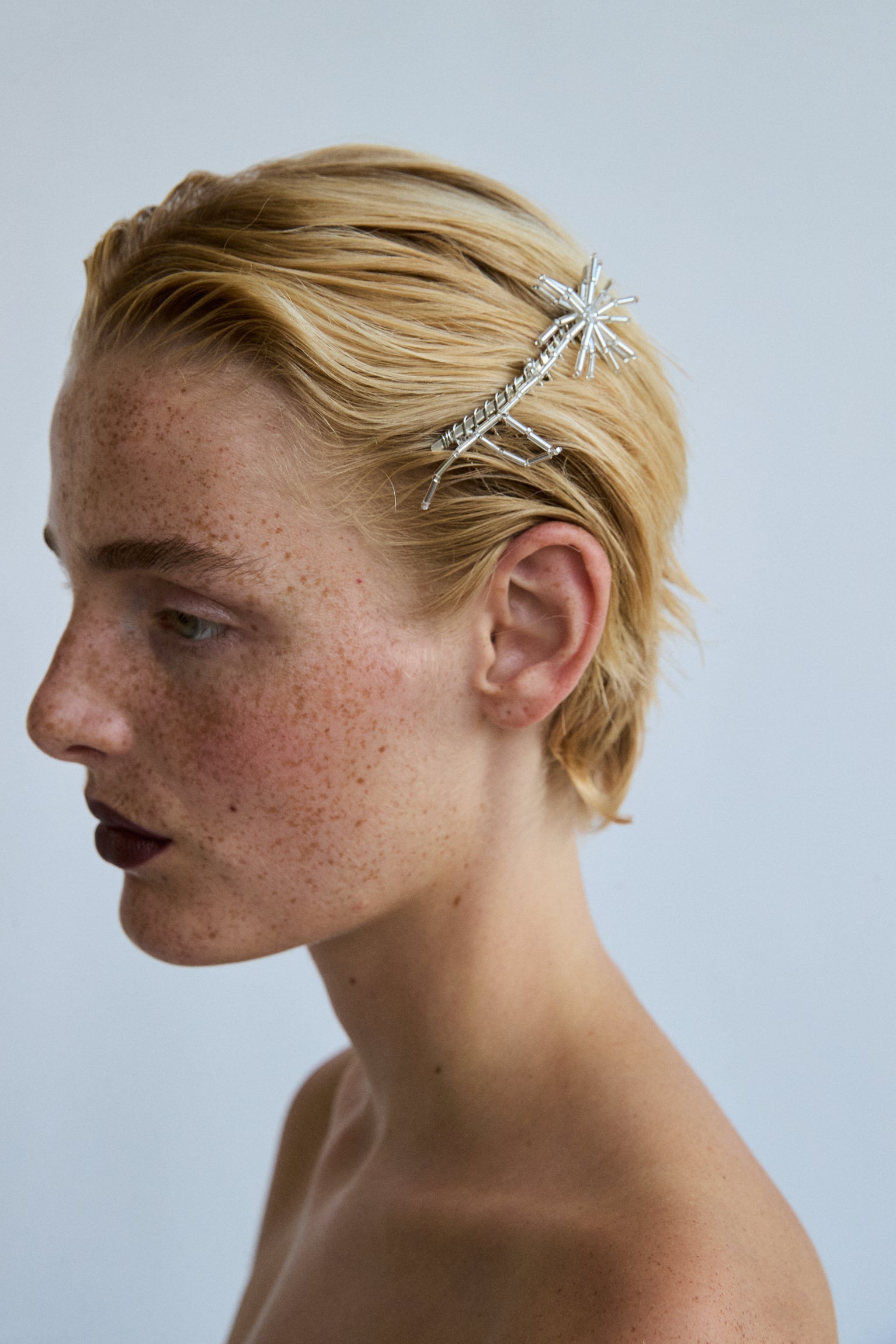 Dandelion French Comb