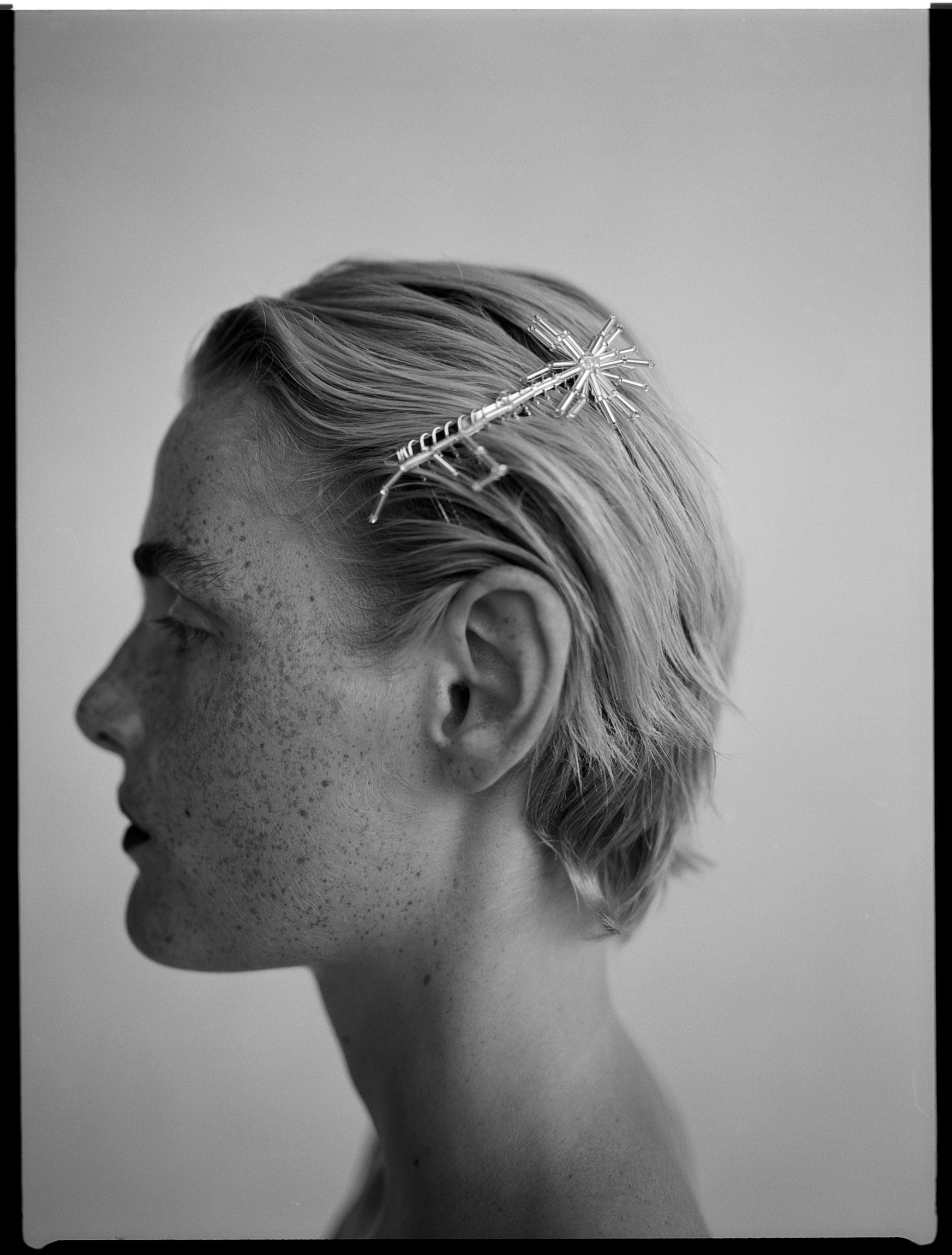 Dandelion French Comb