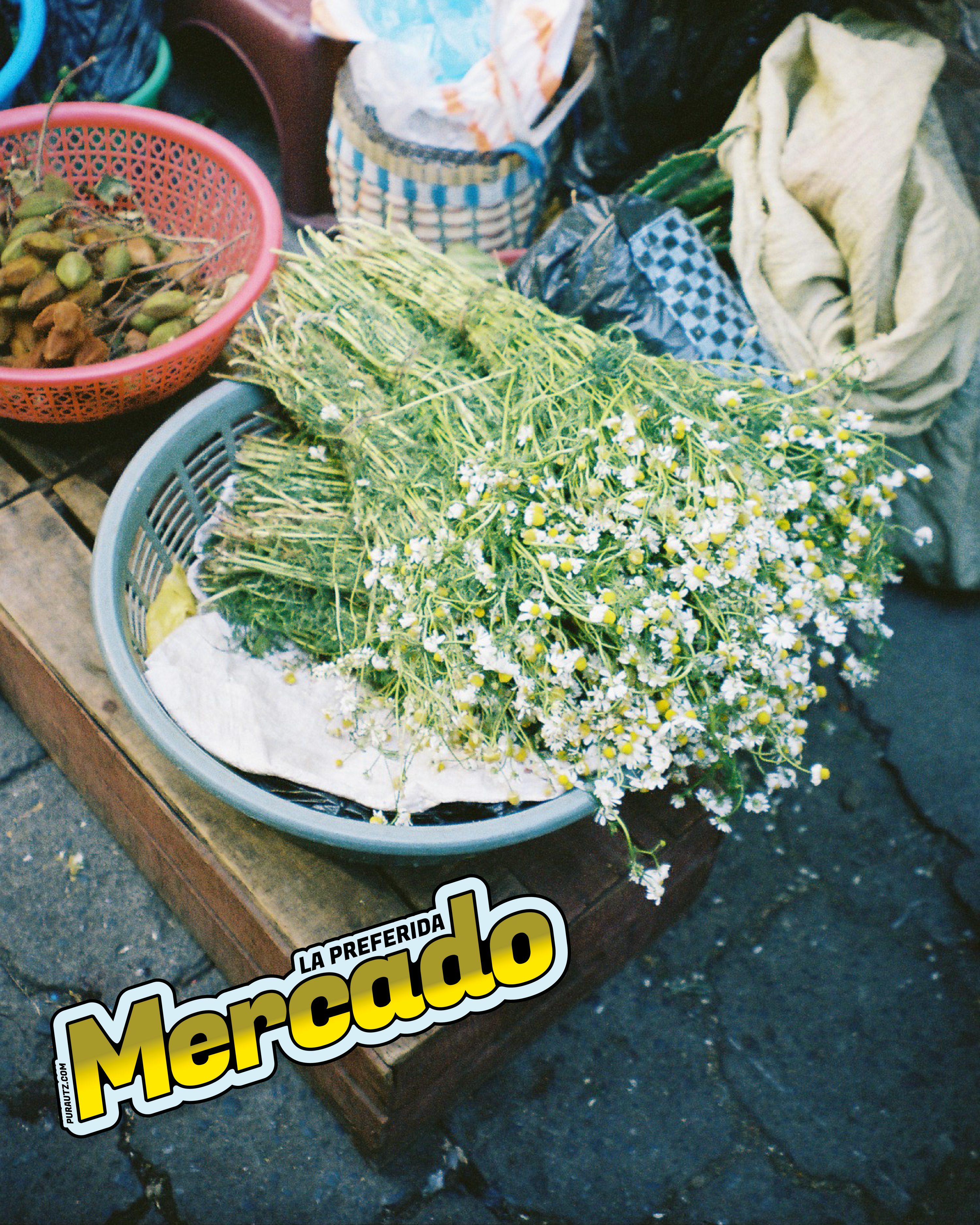 Pura Utz Mercado—drop 1