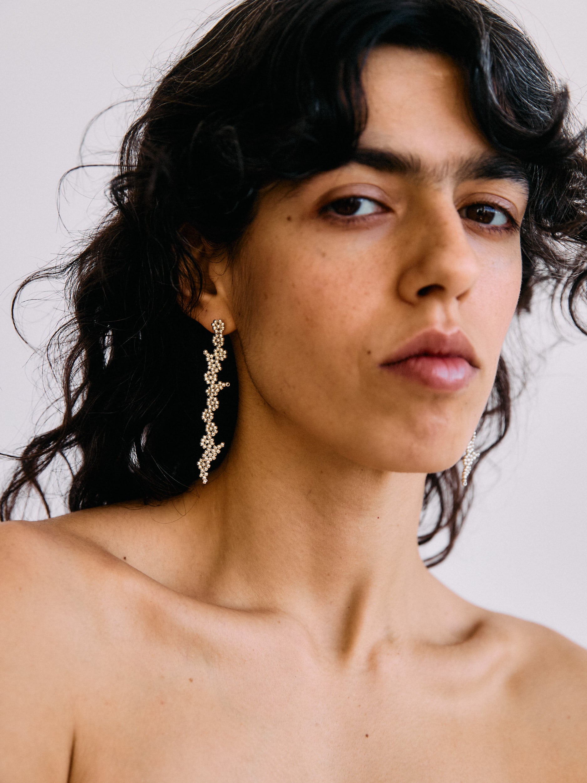 Silver Dream Ear Sticks